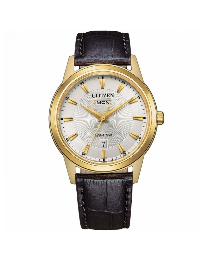 Citizen Men's Watch - Classic Eco-Drive Time and Date 40mm Gold Silver - 0
