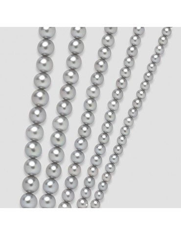 Collana Miluna - Girocollo - Filo - Perle Grigie 5,5 - 6 mm - Oro - 1MPF55642NL476