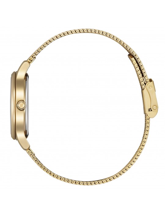 Citizen Woman's Watch - Lady Eco-Drive 30mm Rose Gold Mother of Pearl with Pattern - 0