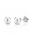 Orecchini Coscia - Oro Bianco 18 Carati - Perle Akoya 7,5-8mm - LBPFAK108
