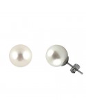 LELUNE CLASSIC PEARLS EARRINGS - 0