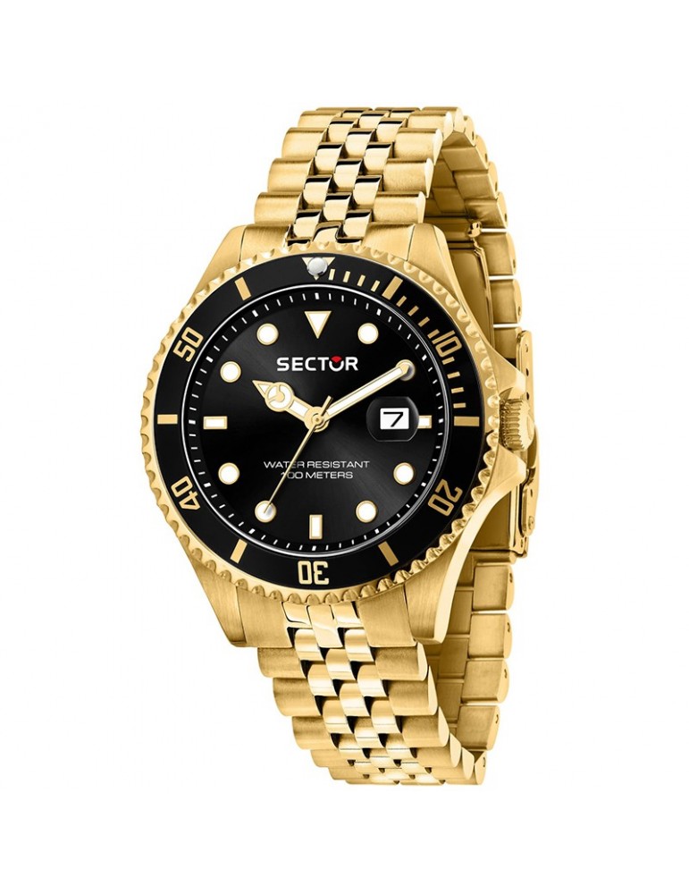 Sector Watch 230 Time and Date Gold 43mm Black -R3253161051