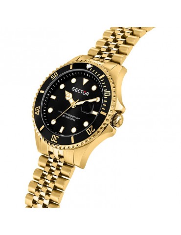 Sector Watch - 230 - Time and Date - Gold - 43mm - Black -R3253161051 2