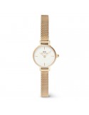 Orologio Daniel Wellington - Evergold - Gold - 19mm-Bianco -DW00100745