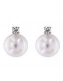 Picca Pearl's Earrings - Australian South Sea in White Gold with Diamonds - 0