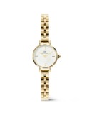 Orologio Daniel Wellington - Solo Tempo - Gold -19mm-Bianco-DW00100855