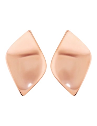 Orecchini Bronzallure - Purezza -a Foglia-Rose Gold-Lucidi-WSBZ02532.R