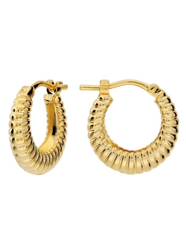 Etruscan Earrings - Golden - Hoop - Striped Finish -WSET00952.YG 2