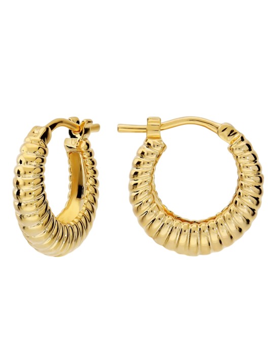 Etruscan Earrings - Golden - Hoop - Striped Finish -WSET00952.YG
