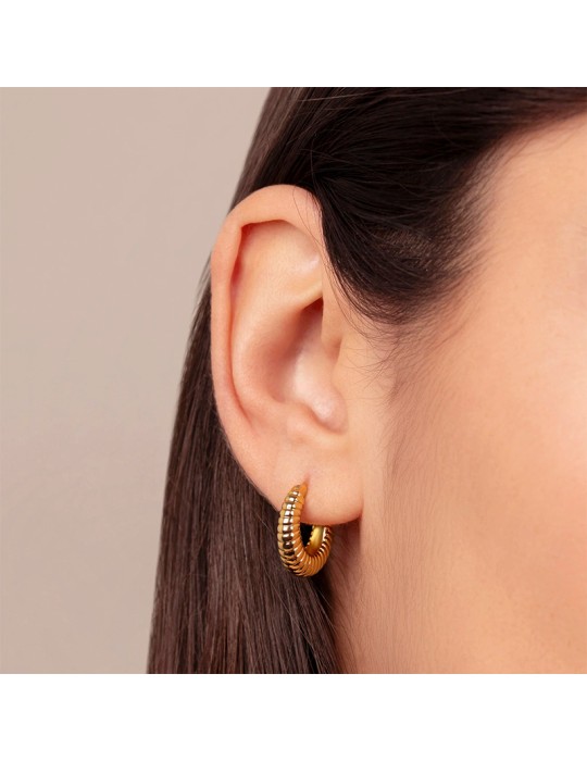 Etruscan Earrings - Golden - Hoop - Striped Finish -WSET00952.YG