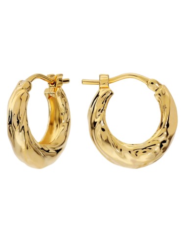 Etruscan Earrings - Golden - Hoop - Hammered Finish - WSET00953.YG 2