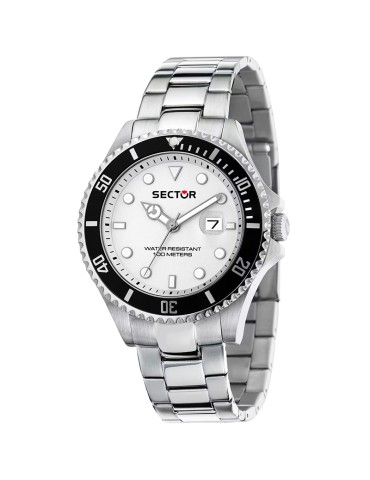 Sector Watch - 230 - Time and Date - Silver - 43mm - Black - R3253161064