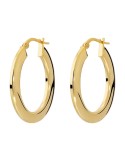 Bronzallure Earrings - Purezza Gold-Plated Oval Hoops - WSBZ02653Y.YG