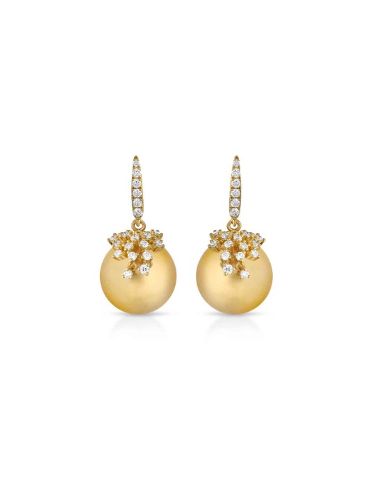 Coscia Earrings - Goldlight in 18K Yellow Gold with 12-13mm South Sea Pearls - 0