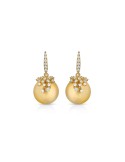 Coscia Earrings - Goldlight in 18K Yellow Gold with 12-13mm South Sea Pearls - 0