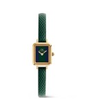 Daniel Wellington Watch - Gold - 15.4x18.2mm-Green and Blue-DW00100958