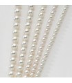 Miluna Woman's Strand Necklace 6,5-7 Pearl - 0