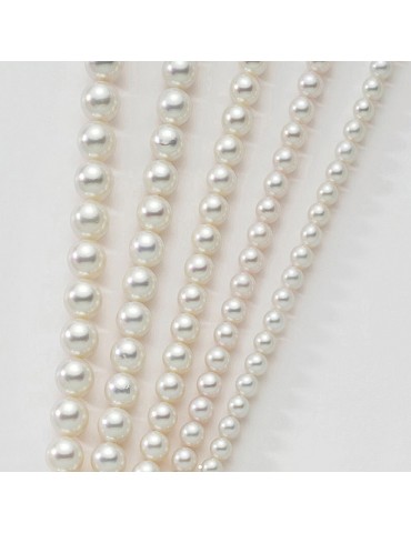Collana Nimei - Girocollo - Perle Akoya Special - 1NAL65740NL000